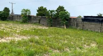 Fenced And Gated 3 Plots Of Land