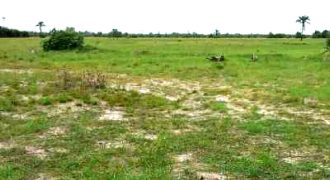 Land Opposite OGTV Digital Studio